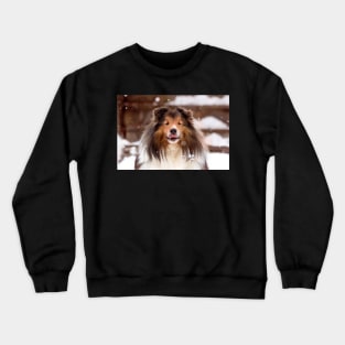 Shetland Sheepdog in the Snow Crewneck Sweatshirt